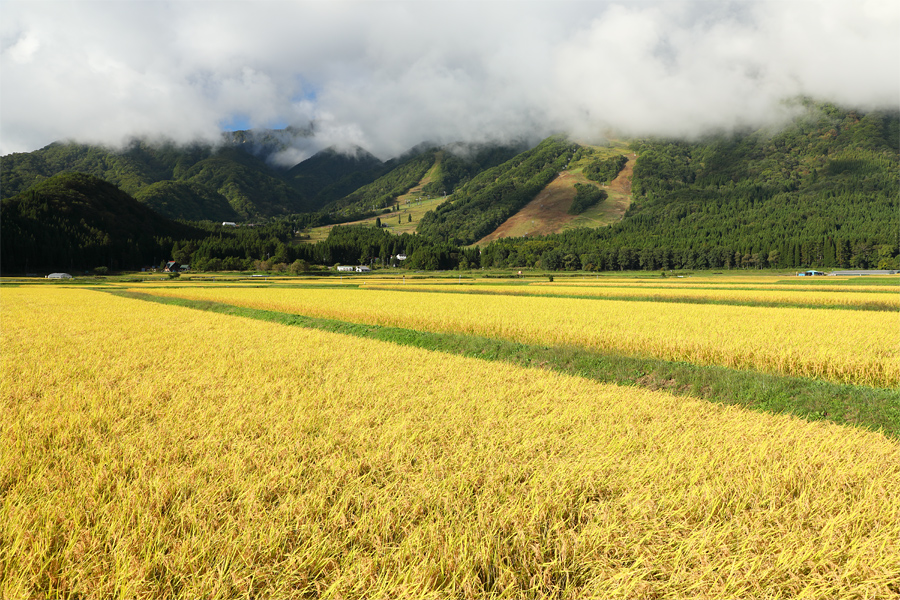 小遠見山 / 晴曇