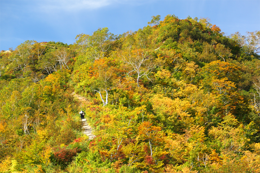 中遠見山 / 曇晴