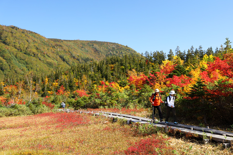 Tsugaike Nature Park / Mostly Sunny