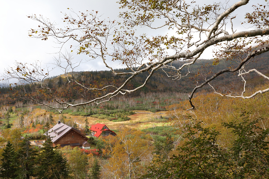 Tsugaike Nature Park / Sunny & Cloudy