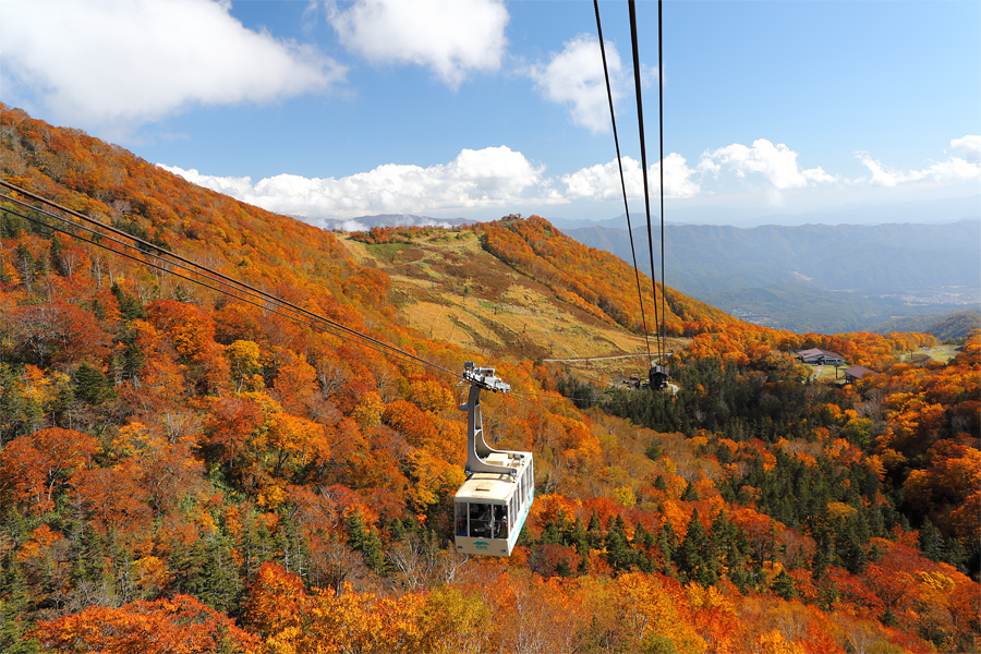 Tsugaike Nature Park / Sunny