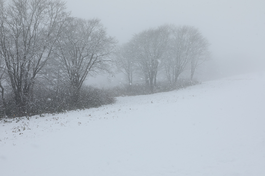 10cm / 雪