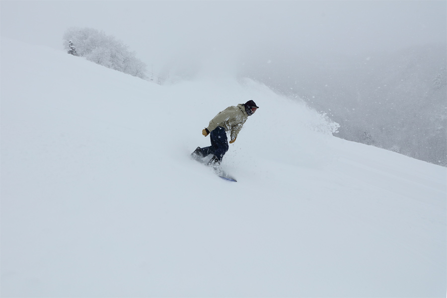 103cm / 雪