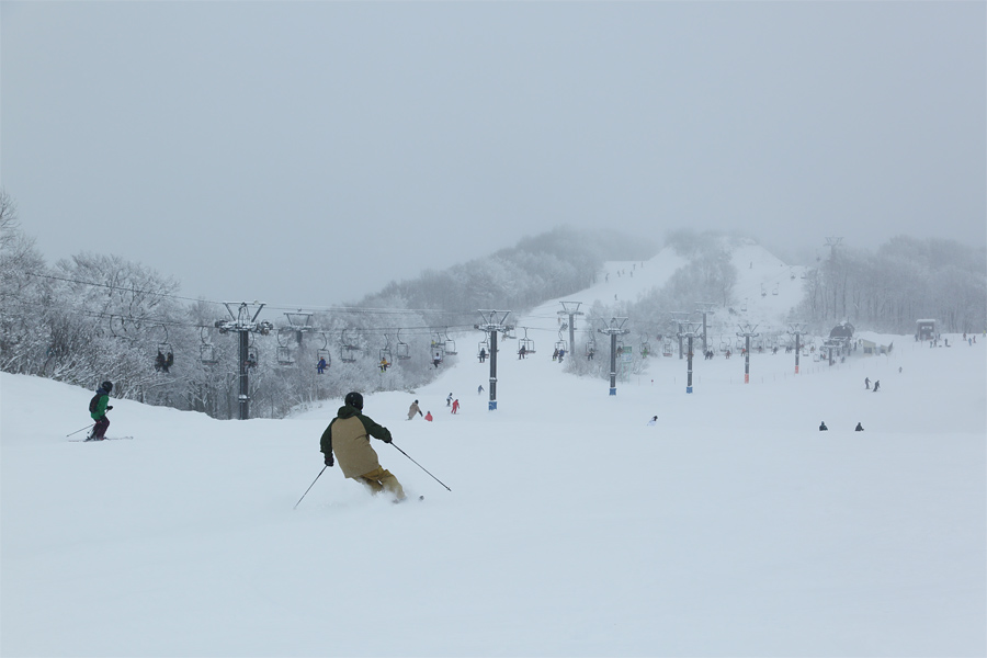 85cm / 雪