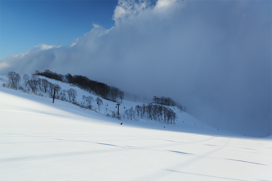 150cm / 雪曇