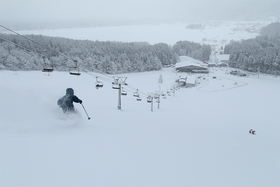 220cm / 雪