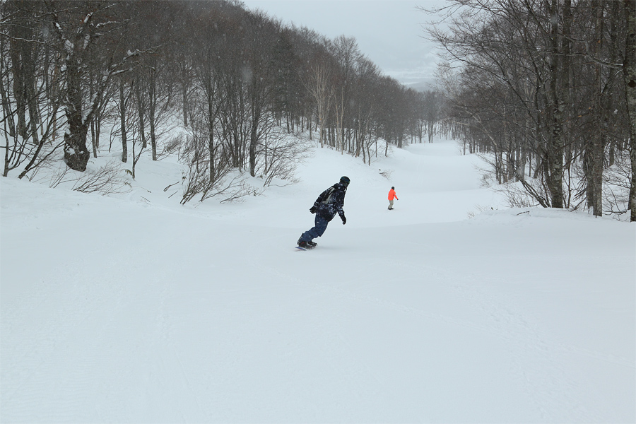 202cm / 雪