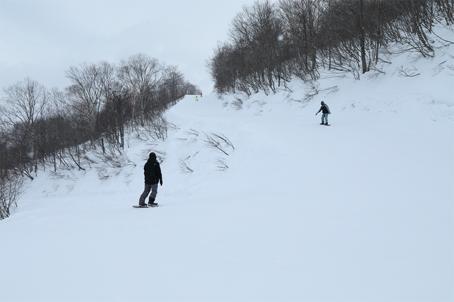 210cm / 曇雪