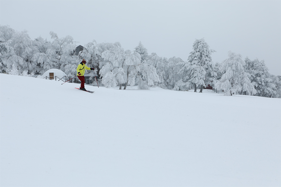 70cm / 雪曇