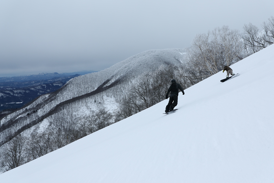 235cm / 曇雪