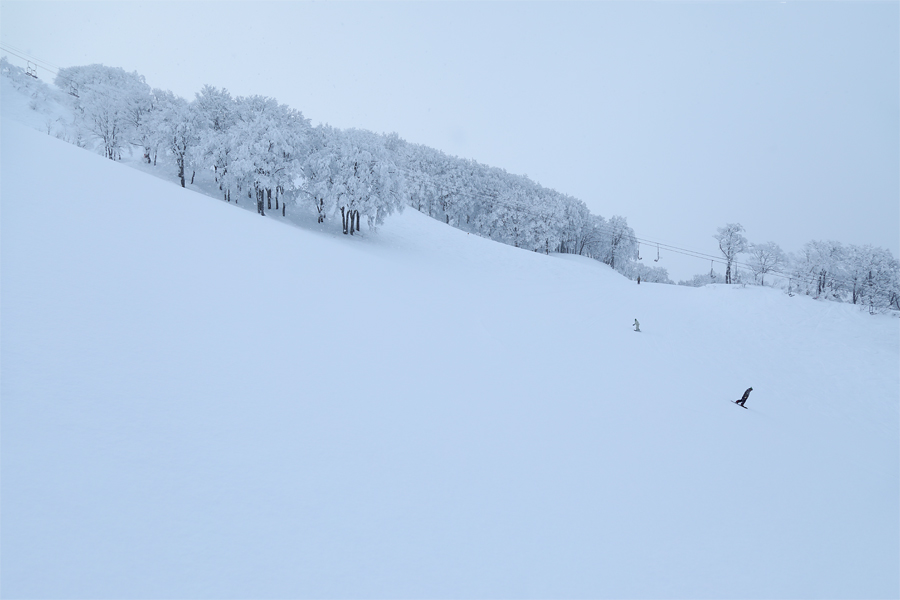 255cm / 雪