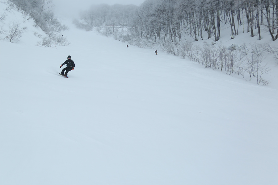 190cm / 雪