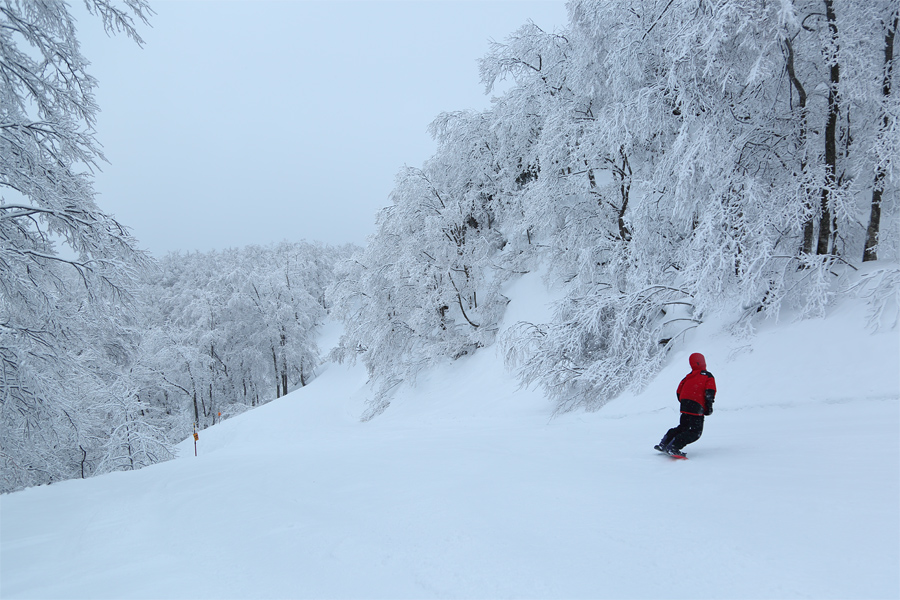 210cm / 雪