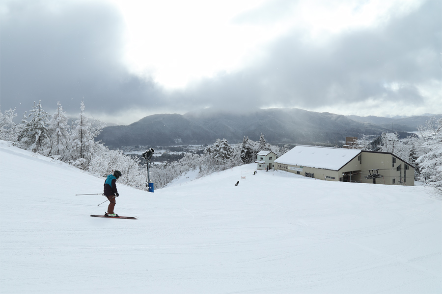 205cm / 雪