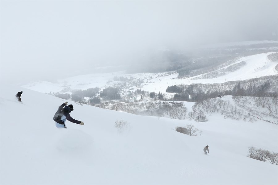 175cm / Snow Flurries