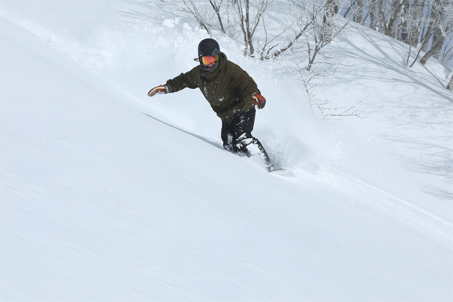 245cm / 雪晴