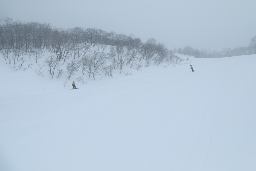 295cm / 雪