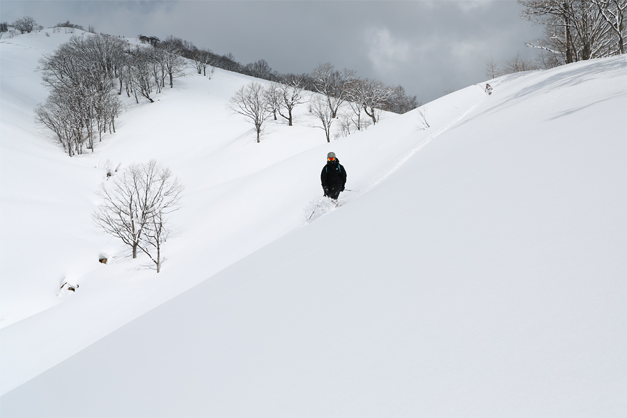 255cm / 雪晴