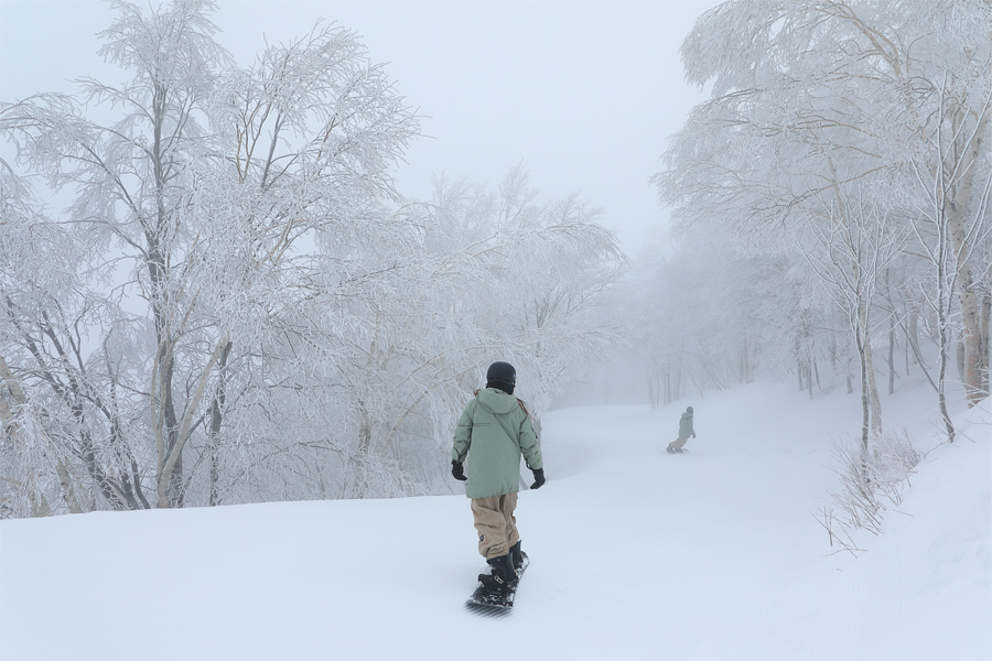 190cm / 晴雪