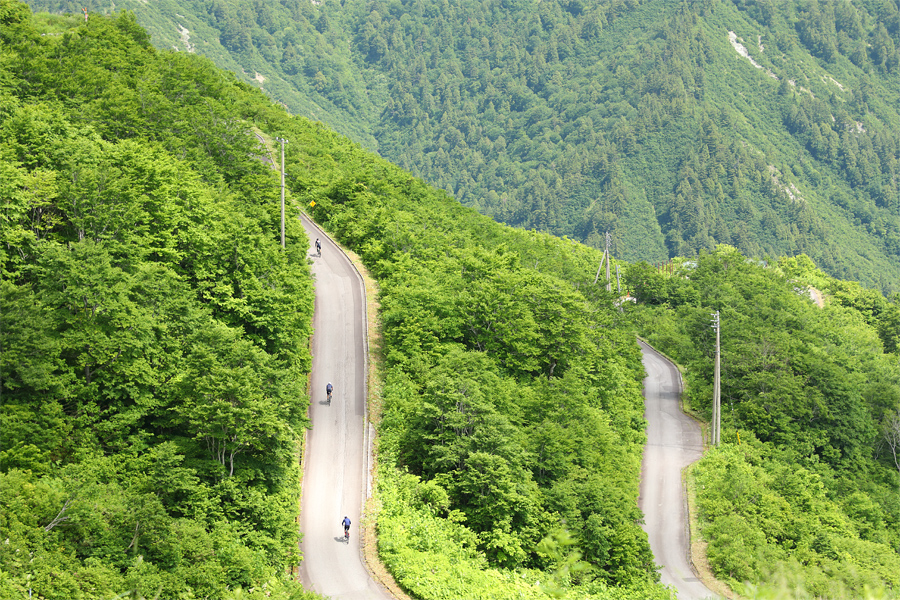 Hakuba Happo-one Ski & Snowboard School / Hakuba Hill Climb