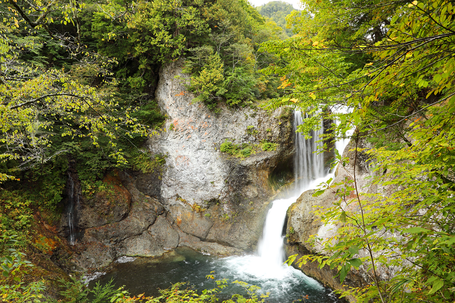 杉山スキースクール / 杉山野外塾