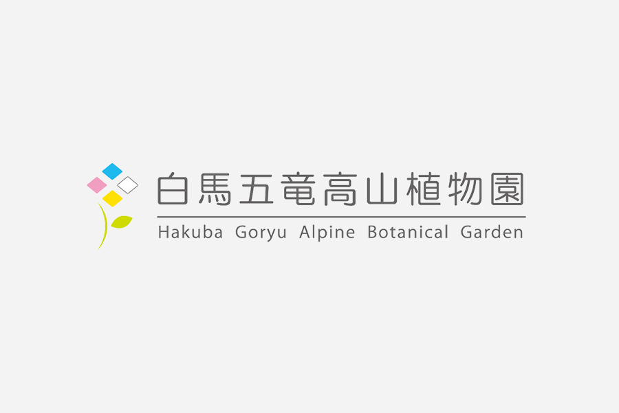 白馬五竜 / 晴