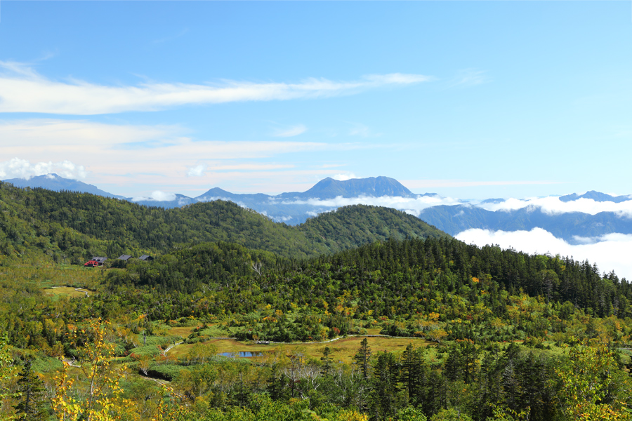 栂池自然園 / 曇晴