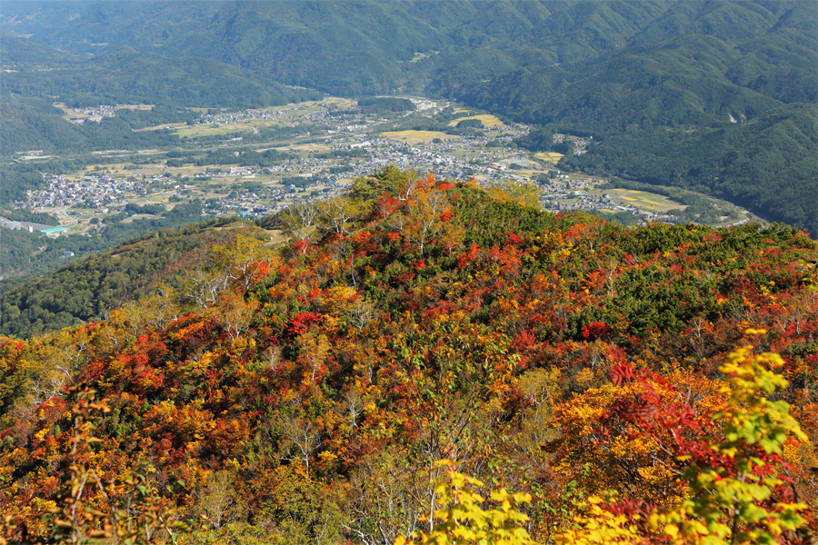 小遠見山 / 晴